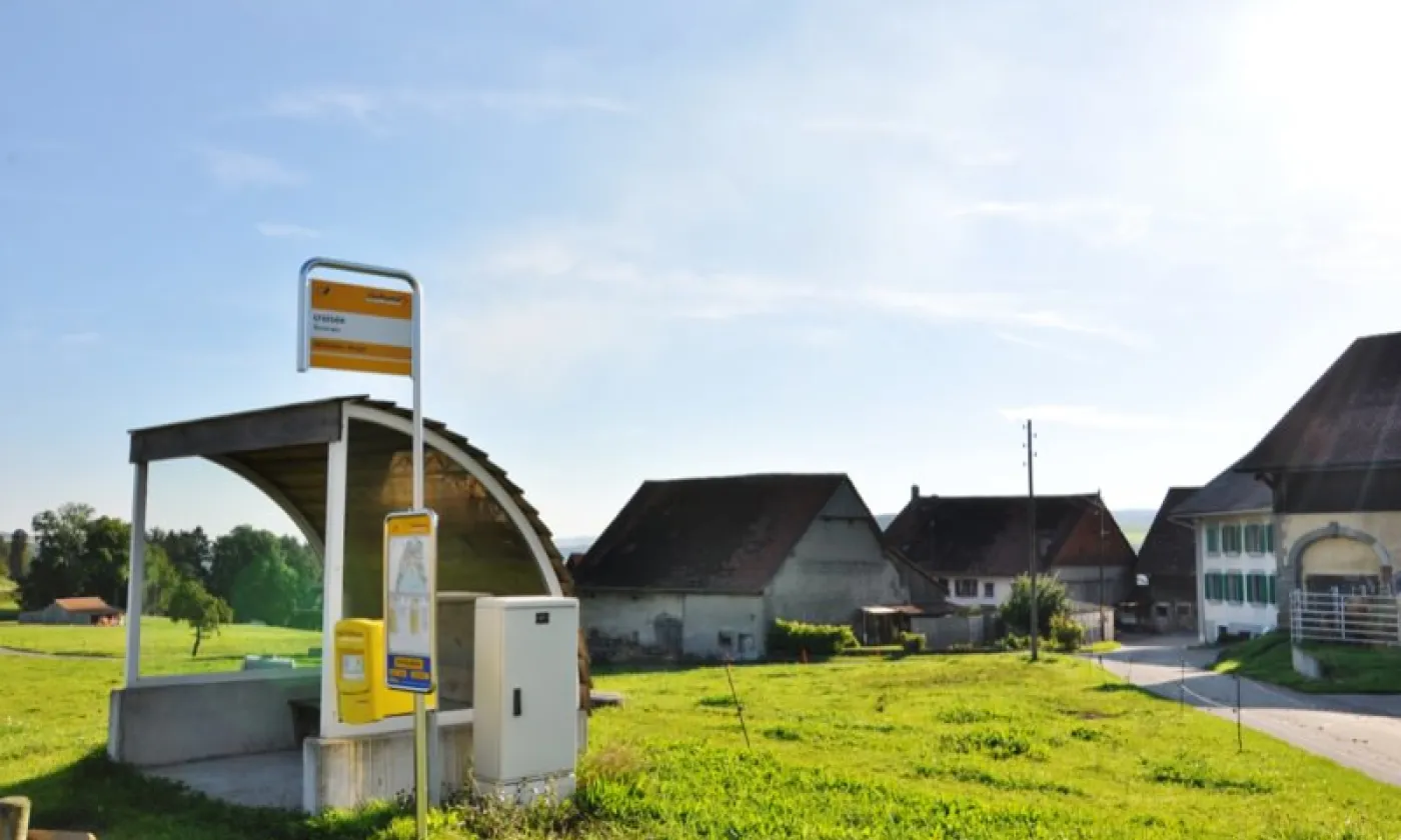 Alexandra Urfer Jungen